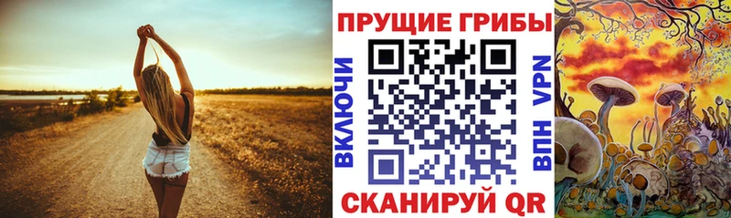 Псилоцибиновые грибы Magic Shrooms  Плавск 
